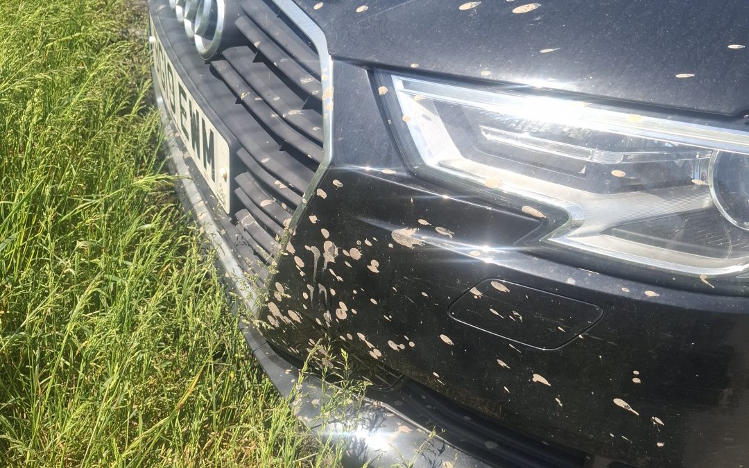Bristol Airport Car Parking experience- May 2026